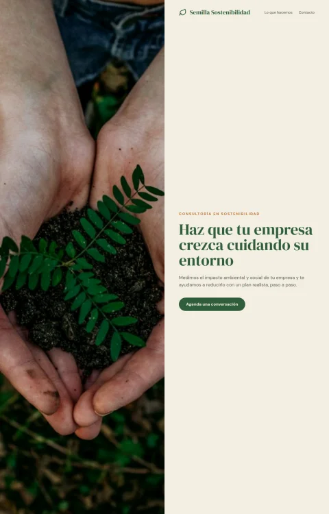 Diseño web Brote Sostenible para consultores