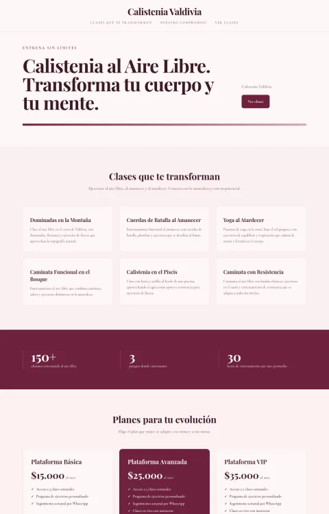 Diseño web Calistenia Valdivia para fitness