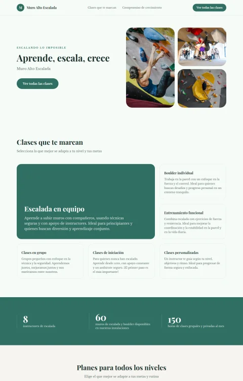 Diseño web Muro Alto Escalada para fitness